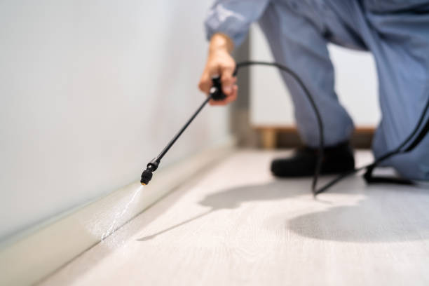 Licensed Termite Control service in Burien, WA - Nex Pest Control