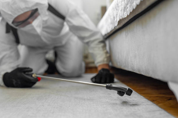 Professional Termite Control technician working in Burien, WA