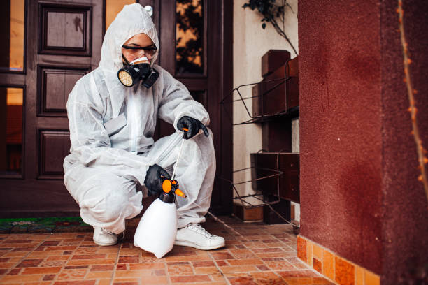 Reliable Termite Control contractor in Burien, WA by Nex Pest Control