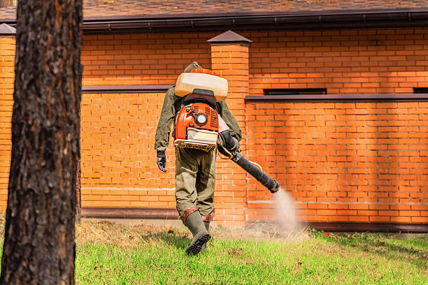 Top rated local Termite Control specialists in Burien, WA